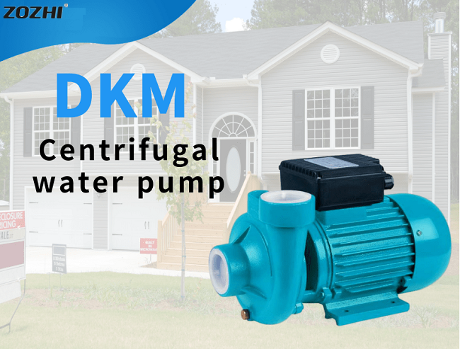 DKM 물 펌프
