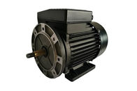 Aluminum Housing Single Phase Induction Motor With NSK Bearing For Swimming Pump Driving