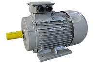 5.5 Hp 4kw 3 Phase Induction Motor 2 Poles 50Hz Y2-112M-2 For General Driving