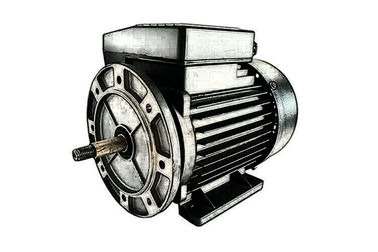 Aluminum Housing Single Phase Induction Motor With NSK Bearing For Swimming Pump Driving