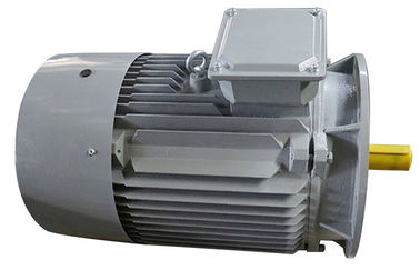 5.5 Hp 4kw 3 Phase Induction Motor 2 Poles 50Hz Y2-112M-2 For General Driving