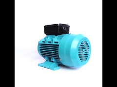 유도 전동기 단상