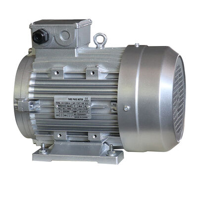 Class F Insulation Hollow Shaft Motor Outer Diameter 60 Mm 5.5KW Rated Power Perfect Motor For Industrial Automation