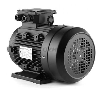 7.5HP 5.5KW 3 Phase Induction Motor Foot Mounted Flange Mounted Robust Design Suitable For Heavy Industrial Applications