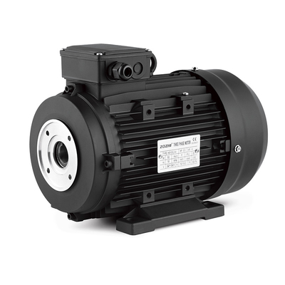 전기 고압 세탁기 및 청소 기계에 대한 자동 세탁기 모터 7.5KW / 10 HP 홀로 샤프트 모터