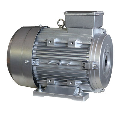 5.5KW Hollow Shaft Motor with Aluminum Housing for Direct Coupling in Cleaning Machines