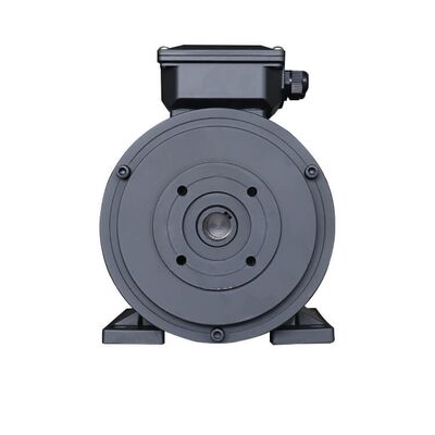 24mm Shaft Hollow Shaft Motor Foot Mounted Type Featuring 40mm Shaftlength Optimized for Conveyor and Packaging Equipment