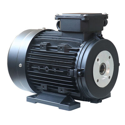 IP55 hollow shaft 3 phase motor with Class F insulation class offering operation and protection in industrial environments